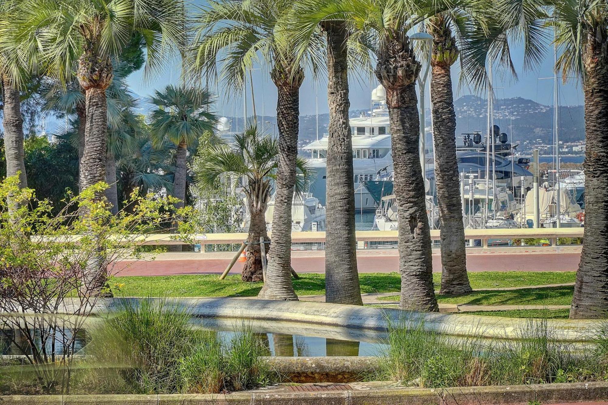 Le Palm - 100M Plage - Croisette - Verriere Cote D'Azur كان المظهر الخارجي الصورة