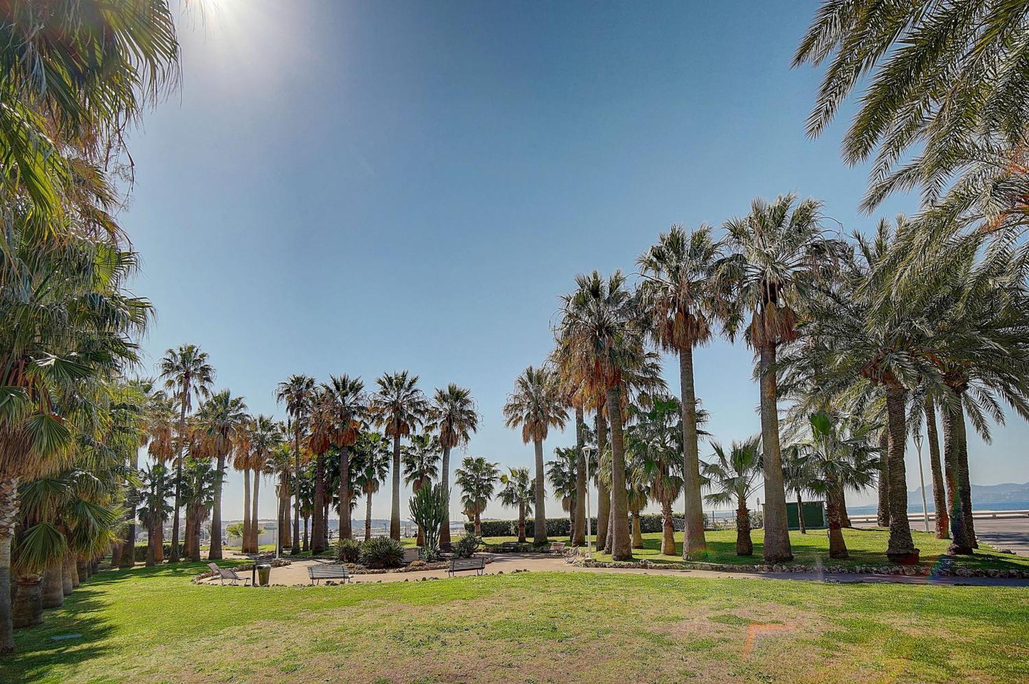 Le Palm - 100M Plage - Croisette - Verriere Cote D'Azur كان المظهر الخارجي الصورة