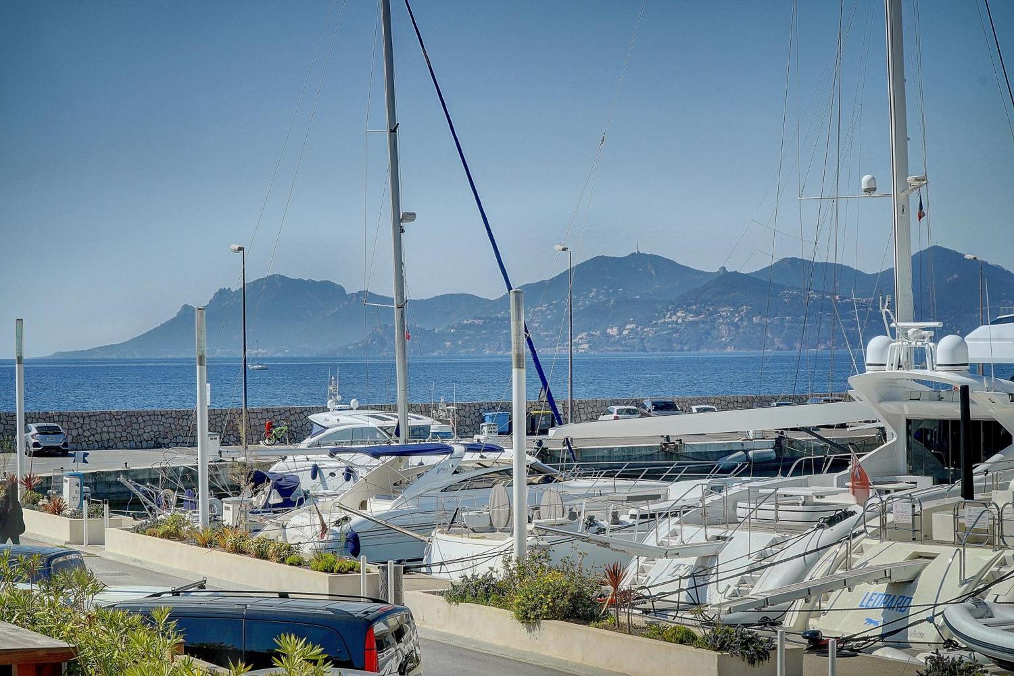 Le Palm - 100M Plage - Croisette - Verriere Cote D'Azur كان المظهر الخارجي الصورة